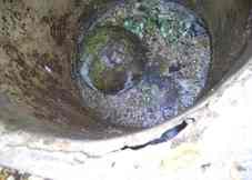 Septic tank baffled collapsed